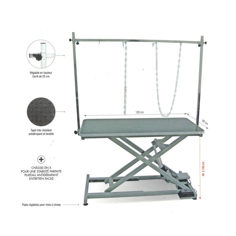 Table de Toilettage Electrique 120X60cm