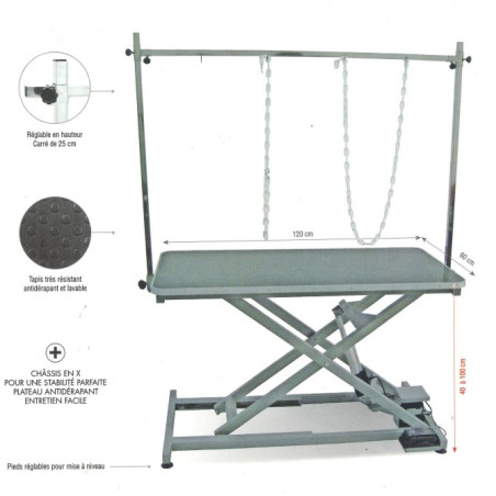 Table de Toilettage Electrique 120X60cm