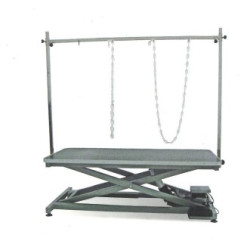 Table de Toilettage Electrique 120X60cm