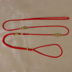 Laisse Lisa Finition Doré