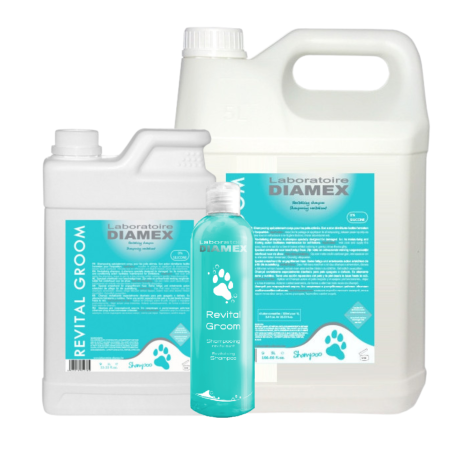 Revital Groom DIAMEX