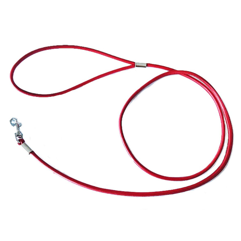 Laisse  Cuir Souple JULES-CUIR