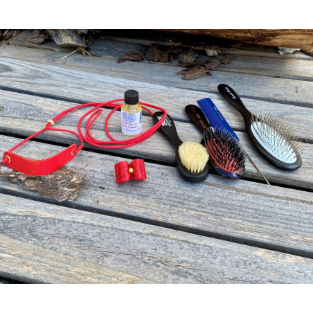 Pack Expo Yorkshire & Biewer