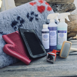 Pack Braque de Weimar