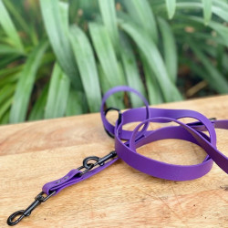 Laisse Multi Position...