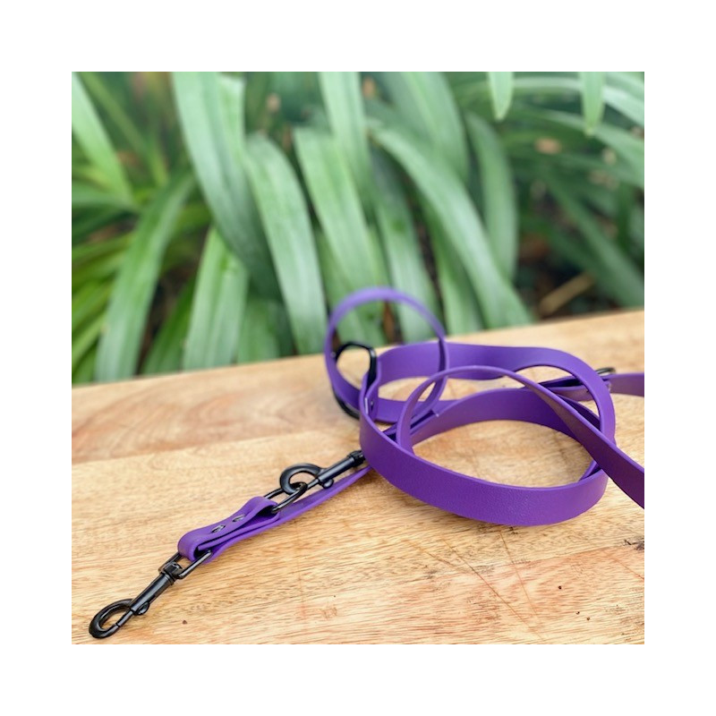 Laisse Multi Position Biothane Large