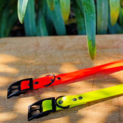 Collier Biothane Large