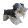 Peluche Race de Chien KELL TOYS