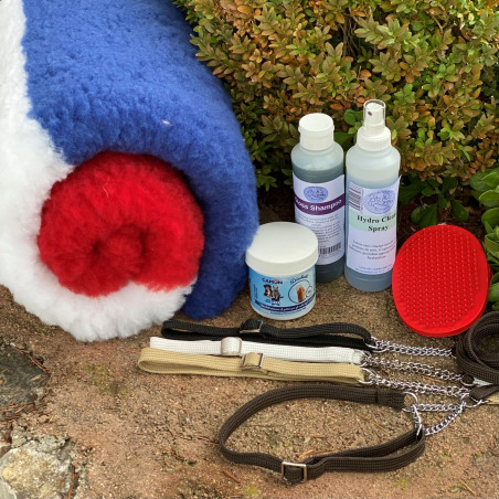 Pack Bouledogue Français