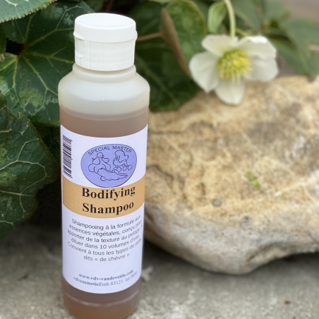 Bodifying Shampoo Special Master