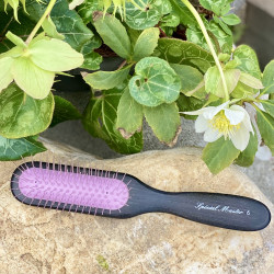 Brosse Special Master n°6...