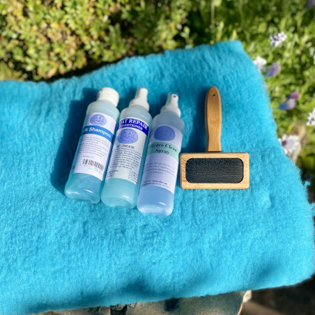 Pack Teckel Poils Longs