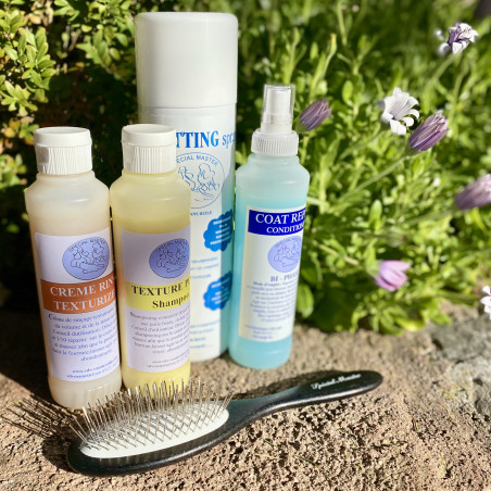 Pack Bichon Havanais