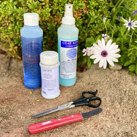 Pack Teckel Poils Durs