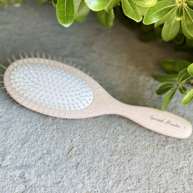Brosse Souple SPECIAL MASTER