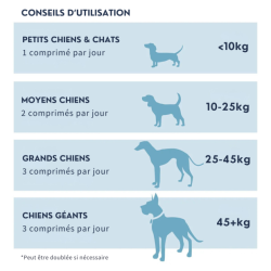Neutradog Dorwest