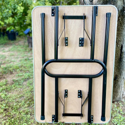 Table de Toilettage Pliante 90 x 60