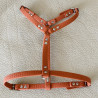 Harnais Petite Taille