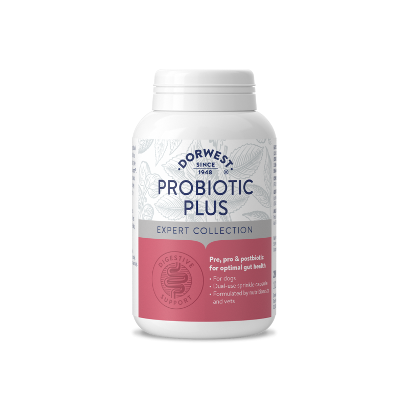 Probiotic Plus DORWEST