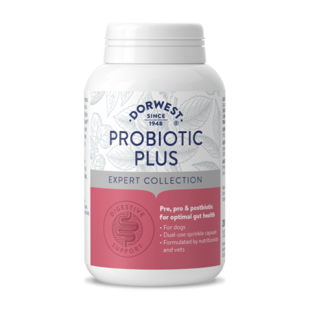 Probiotic Plus DORWEST
