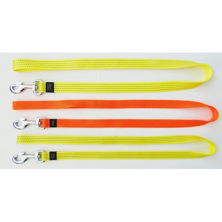 Laisse Nylon  Fluo et Phosforescente
