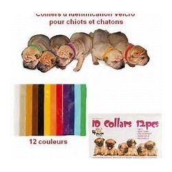Colliers d'Identification PUPCOLORS