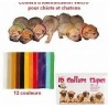 Colliers d'Identification PUPCOLORS