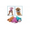 Chien Peluche avec Bouteille