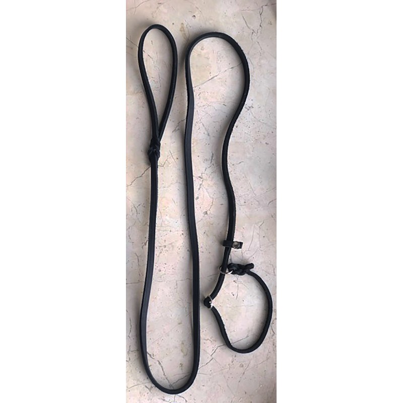 Laisse Cuir Lasso