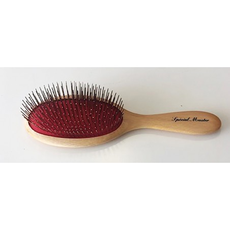 Brosse Extra Large SPECIAL MASTER