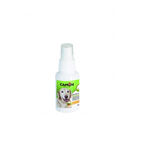 Spray Dentifrice Haleine Fraiche