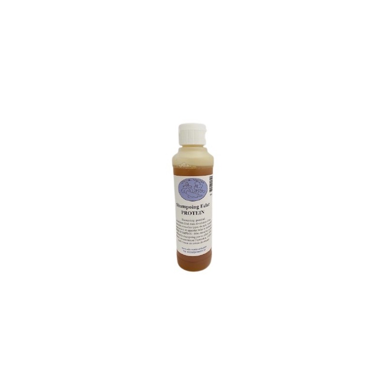 Shampoing Eclat Protein