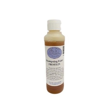Shampoing Eclat Protein