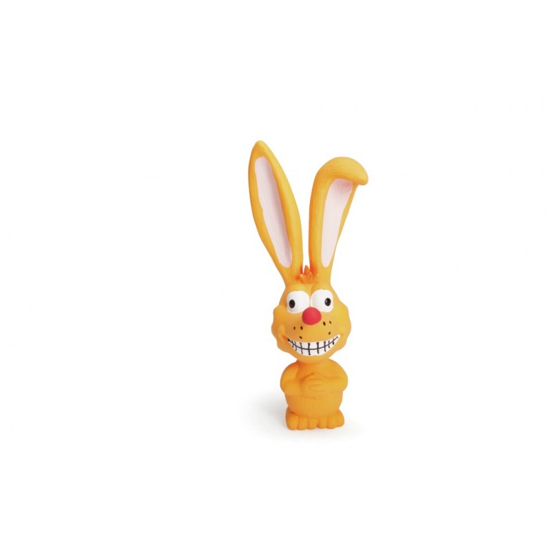 Animaux Grandes Oreilles