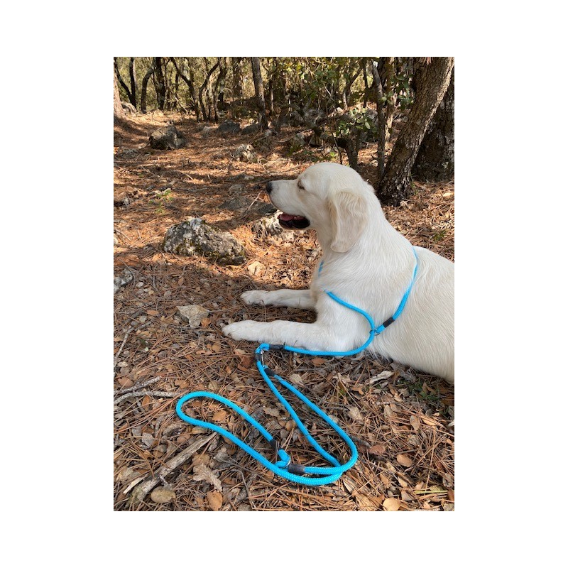 Laisse multiposition 8 mm JULES&JULIE