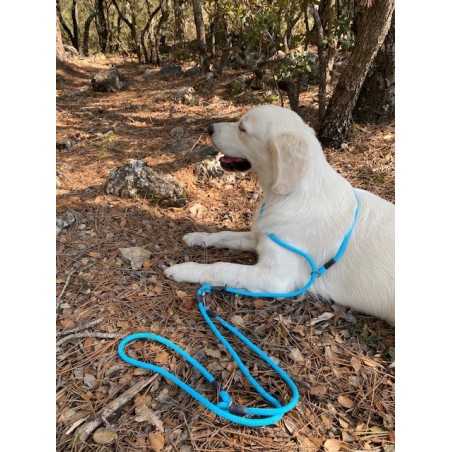 Laisse multiposition 8 mm JULES&JULIE