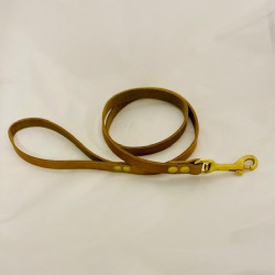 Laisse Cuir